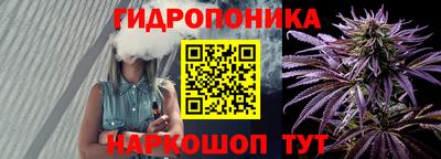шишки Ярославль