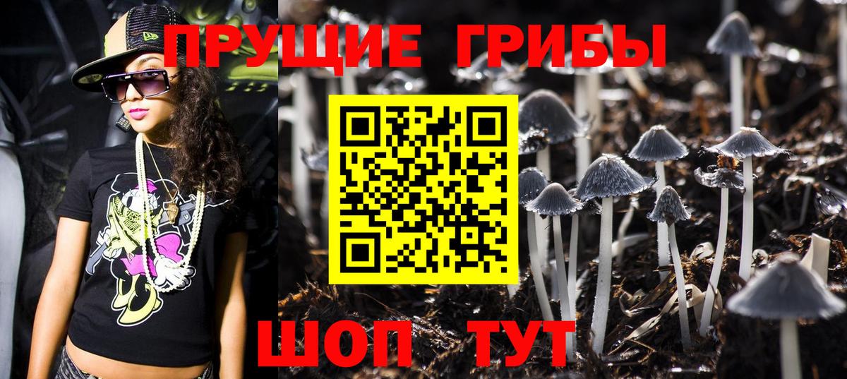 Галлюциногенные грибы Psilocybe Туапсе